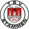 TSV Blau-Weiß Stammen 1908