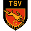 Wappen von TSV 07 Grebendorf