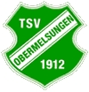 TSV 1912 Obermelsungen II
