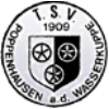 TSV 1909 Poppenhausen