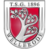 TSG 1896 Wellerode II