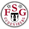 FSG Gudensberg III