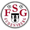 FSG Gudensberg II