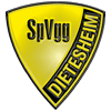 SpVgg 1945 Dietesheim