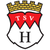 TSV 1919 Hilders II