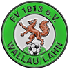 FV 1913 Wallau/Lahn