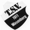 TSV 1911 Wasenberg