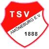 TSV 1888 Amöneburg