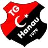 Wappen von FC Türk Gücü Hanau 1979