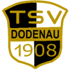 TSV 1908 Dodenau II