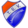 TSV Lämmerspiel 1885
