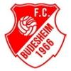 FC 1966 Büdesheim