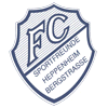 FC Sportfreunde Heppenheim II