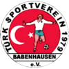 Wappen von TSV Türkspor Babenhausen 1979