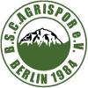 BSC Agrispor Berlin 1984 II