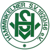 Hamminkelner SV 1920/46