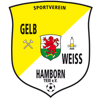 SV Gelb-Weiß Hamborn 1930 III
