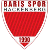 Wappen von Baris Spor Hackenberg 1990