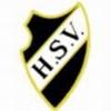 Wappen von SV Hoengen 1916