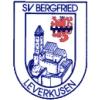 SV Bergfried Leverkusen-Steinbüchel III