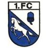 1. FC Quadrath-Ichendorf 1913/21