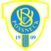 Wappen von VfB 09 Pößneck