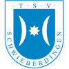 TSV Schwieberdingen