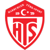 Harburger Türksport 1979 II