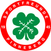 Sportfreunde Pinneberg von 1945 II