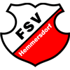 FSV 1927 Hemmersdorf III