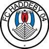 FC Haddeby 04 III