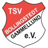 Wappen von TSV Bollingstedt/Gammellund