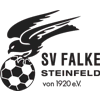 SV Falke 1920 Steinfeld II