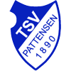 TSV Pattensen von 1890 III