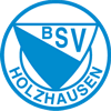 BSV Holzhausen 1924 IV