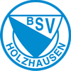 BSV Holzhausen 1924