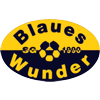 SG Blaues Wunder Hannover von 1990 III