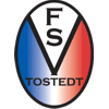 FSV Tostedt IV