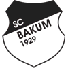 SC Schwarz-Weiß Bakum 1929 II