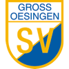Wappen von SV Groß Oesingen von 1910