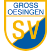 SV Groß Oesingen von 1910