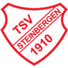 TSV Steinbergen 1910 II