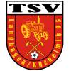 Wappen von TSV Langhagen/Kuchelmiß 95