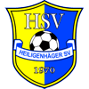 Heiligenhäger SV