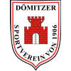 Wappen von Dömitzer SV 06