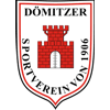 Dömitzer SV 06