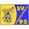 SV Grabowhöfe 95