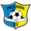 Pelsiner SV