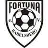 Fortuna Babelsberg