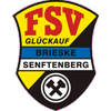 FSV Glückauf Brieske-Senftenberg II